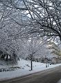 Neve (23)